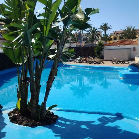 Paraiso Royal Dany&Pina Playa de las Américas Extérieur photo